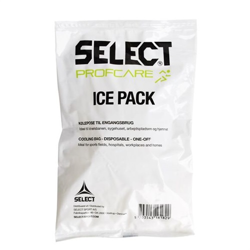 Ice pack 